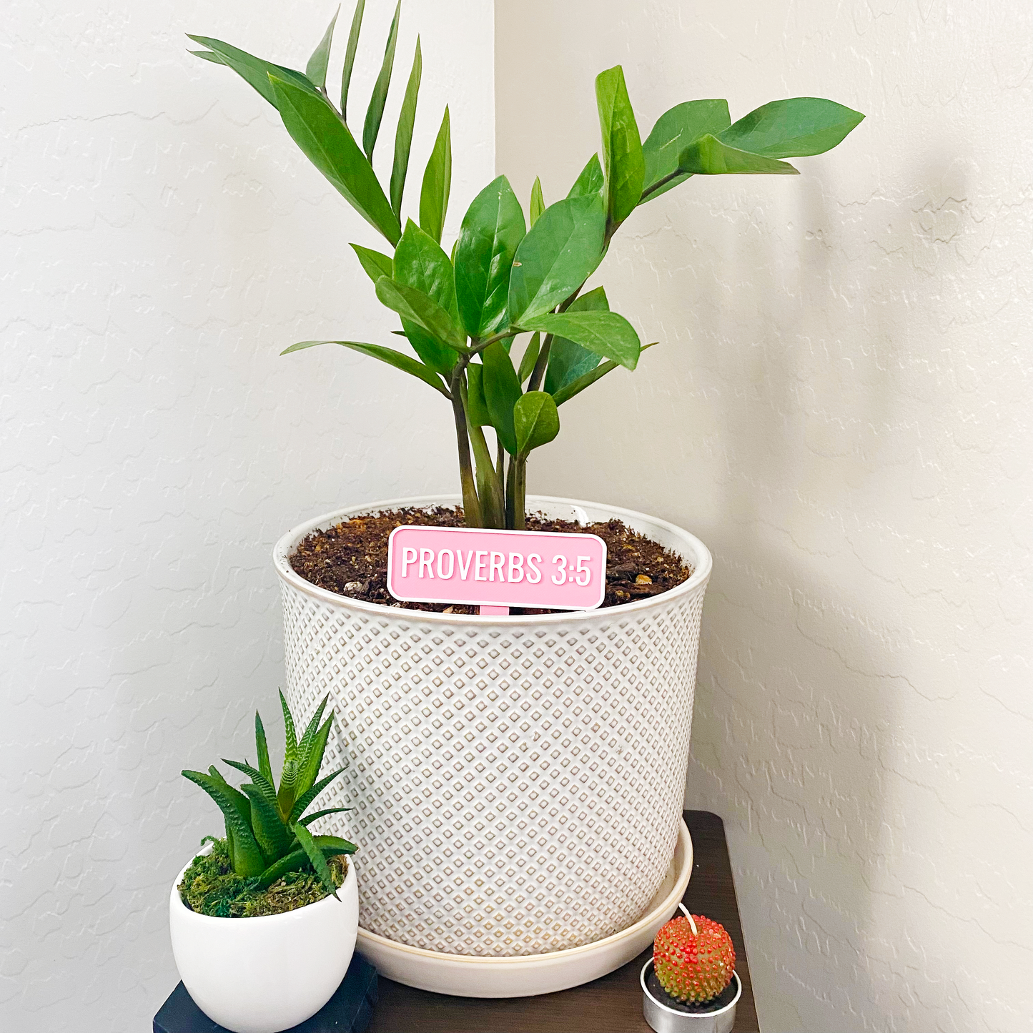Proverbs 3:5 Planter Stake