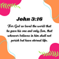 John 3:16 Planter Stake