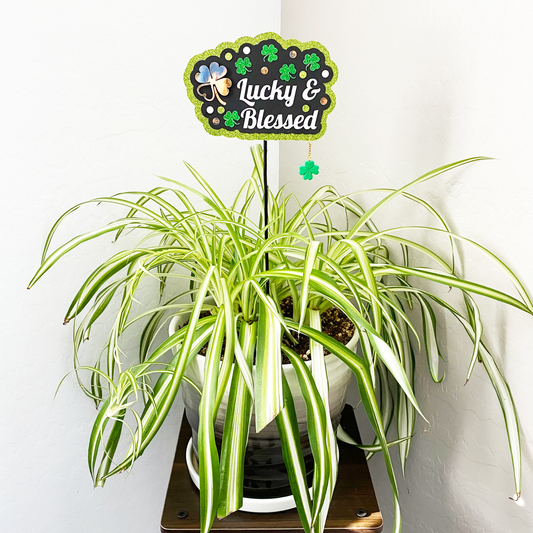 Lucky and Blessed Planter Décor Statement